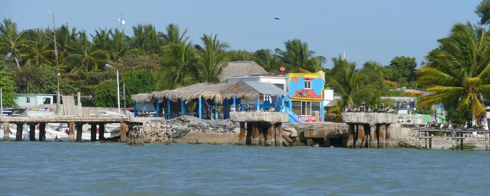 El muelle de madera de Isla Aguada sobre la laguna de Términos, con las palapas del embarcadero, las palmeras y pelícanos posados en los pilotes