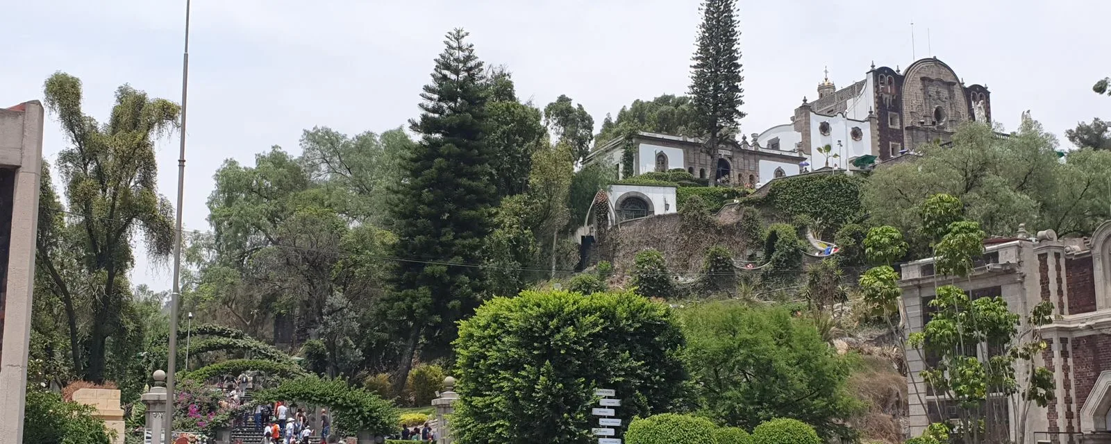 El cerro del Tepeyac visto desde el atrio: la ladera arbolada con la capilla del Cerrito en la cima y la cúpula de la antigua basílica a la derecha