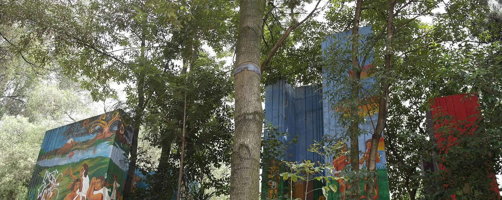 Fuentes Brotantes, manantiales del bosque de Tlalpan