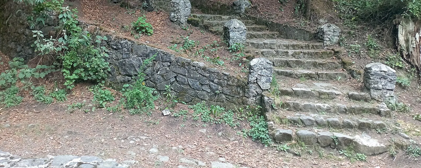 Ermita del Desierto de los Leones entre el bosque, Ciudad de México