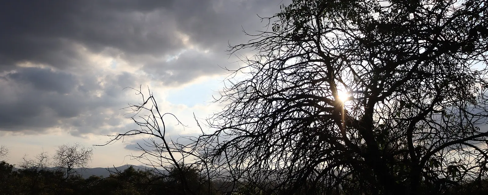 Atardecer en la Reserva Ecológica del Pedregal de San Ángel