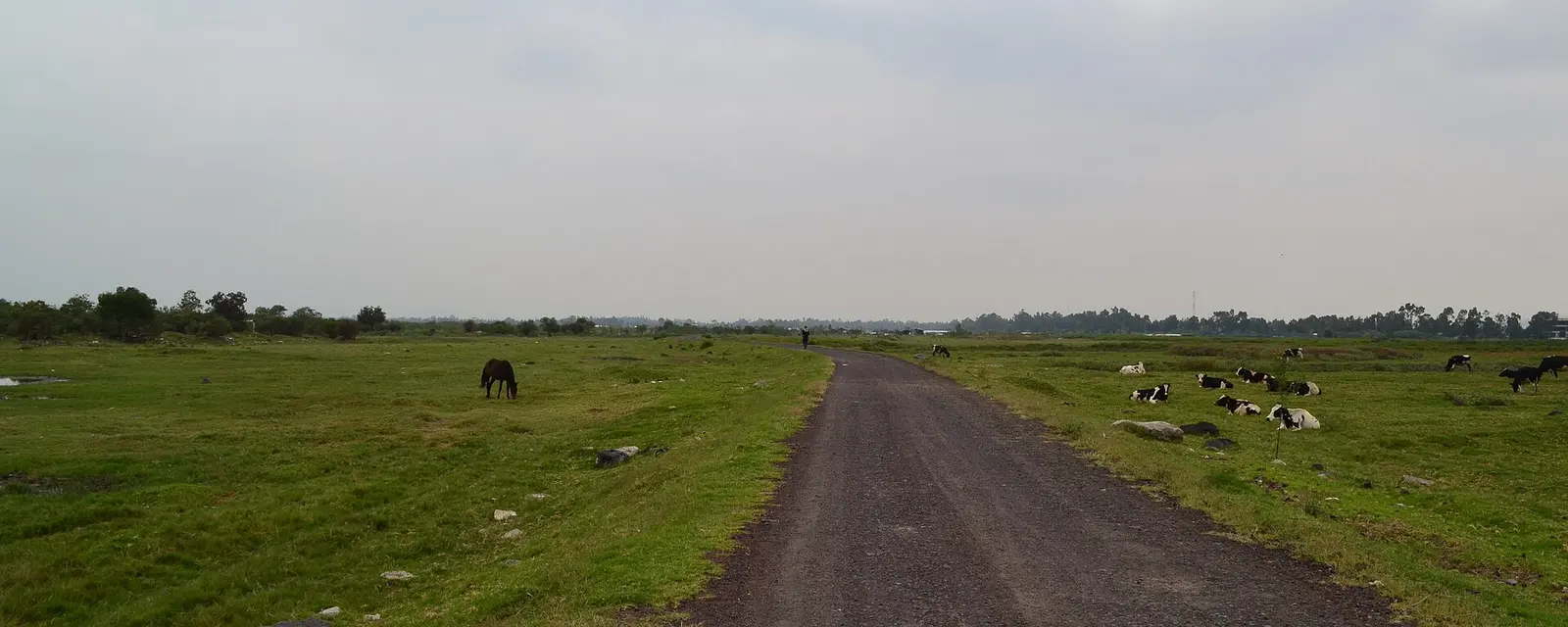 Camino hacia el canal de Chalco, en el oriente de la Ciudad de México