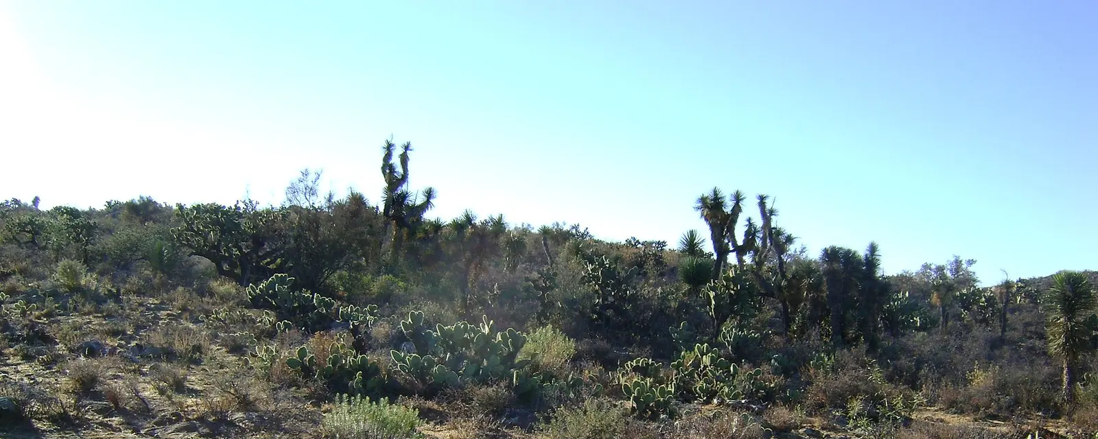 Vista de Sombrerete, Zacatecas