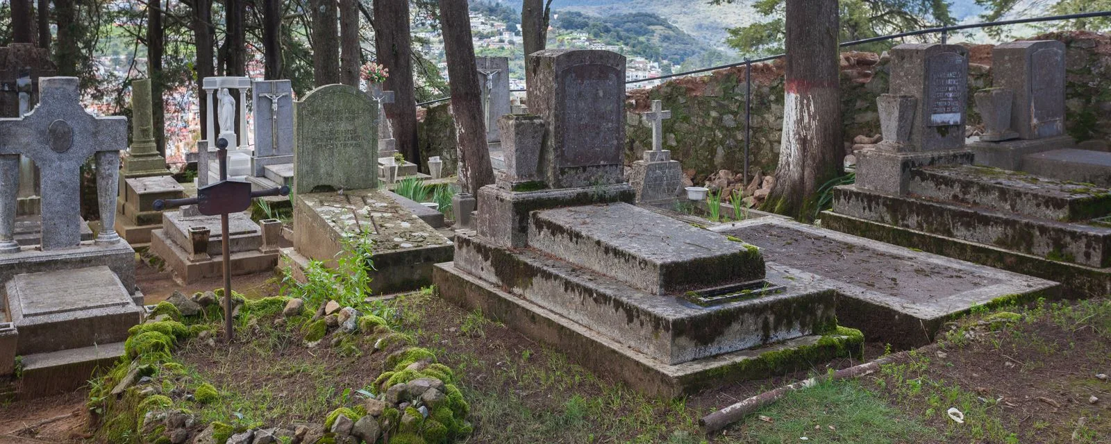 El Panteón Inglés de Real del Monte: lápidas y tumbas de piedra cubiertas de musgo bajo los pinos, con el pueblo asomando entre los troncos