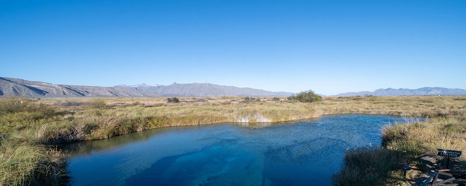 Poza Azul de Cuatro Ciénegas, agua turquesa en medio del desierto coahuilense
