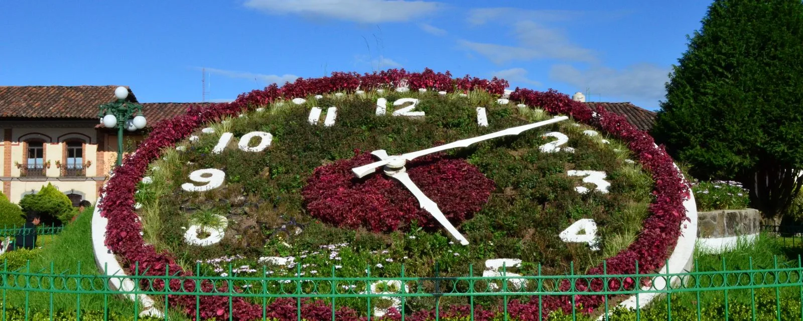 El reloj floral de Zacatlán: una carátula circular de plantas rojas y verdes con los números en flores blancas y las manecillas metálicas marcando la hora