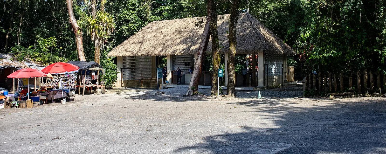 Templos de Palenque asomando entre la selva chiapaneca