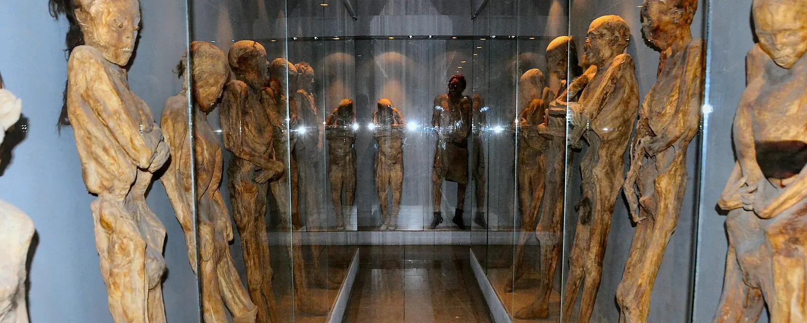 Vitrina del Museo de las Momias de Guanajuato, el más visitado del estado