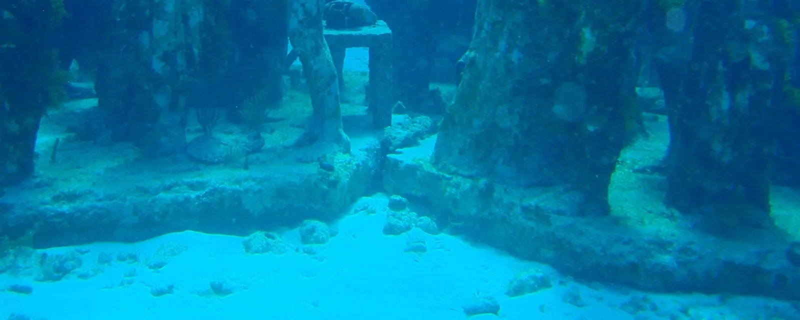 Esculturas del Museo Subacuático de Arte bajo el mar de Cancún, cubiertas de vida marina