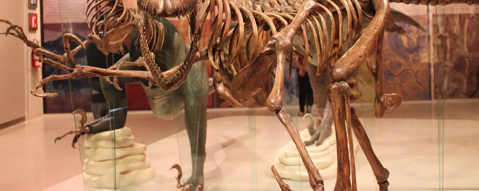 Sala del Gran Museo del Mundo Maya de Mérida con esqueleto de dinosaurio en exhibición